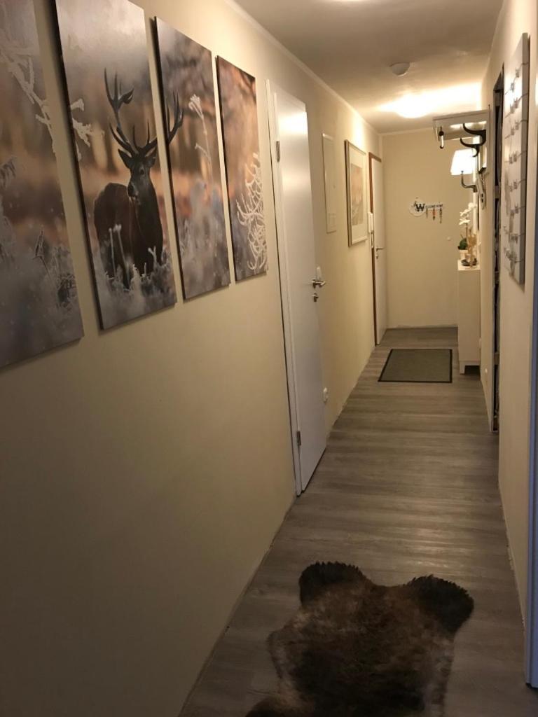 Wurmbergtraum Celina In Braunlage 4 Sterne Zertifiziert Vom Dtv Inklusive Waeschepakete 아파트 외부 사진